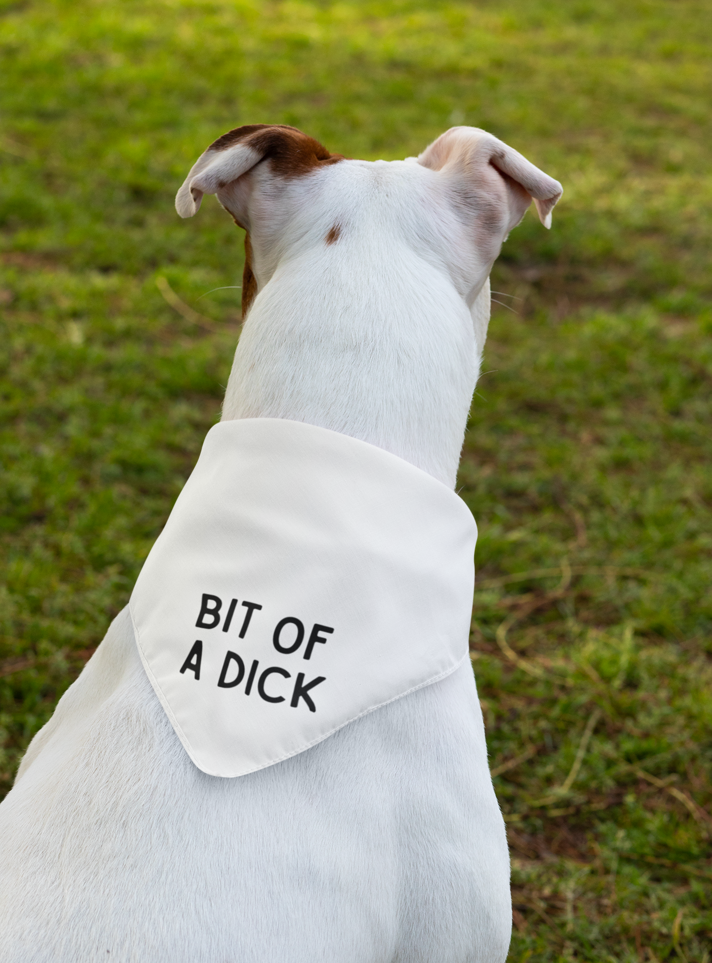 Bit of a Dick - Dog Bandana