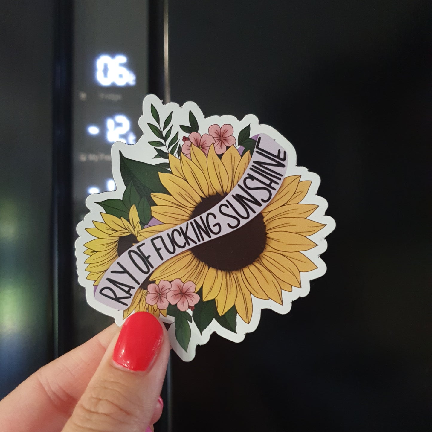 Ray of Fucking Sunshine Magnet