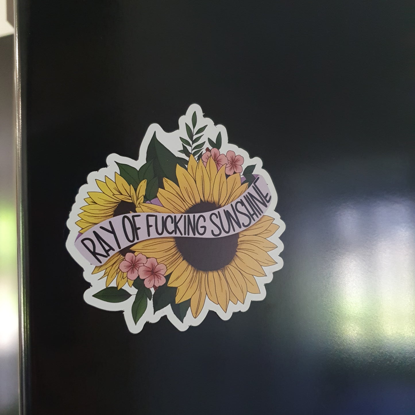 Ray of Fucking Sunshine Magnet
