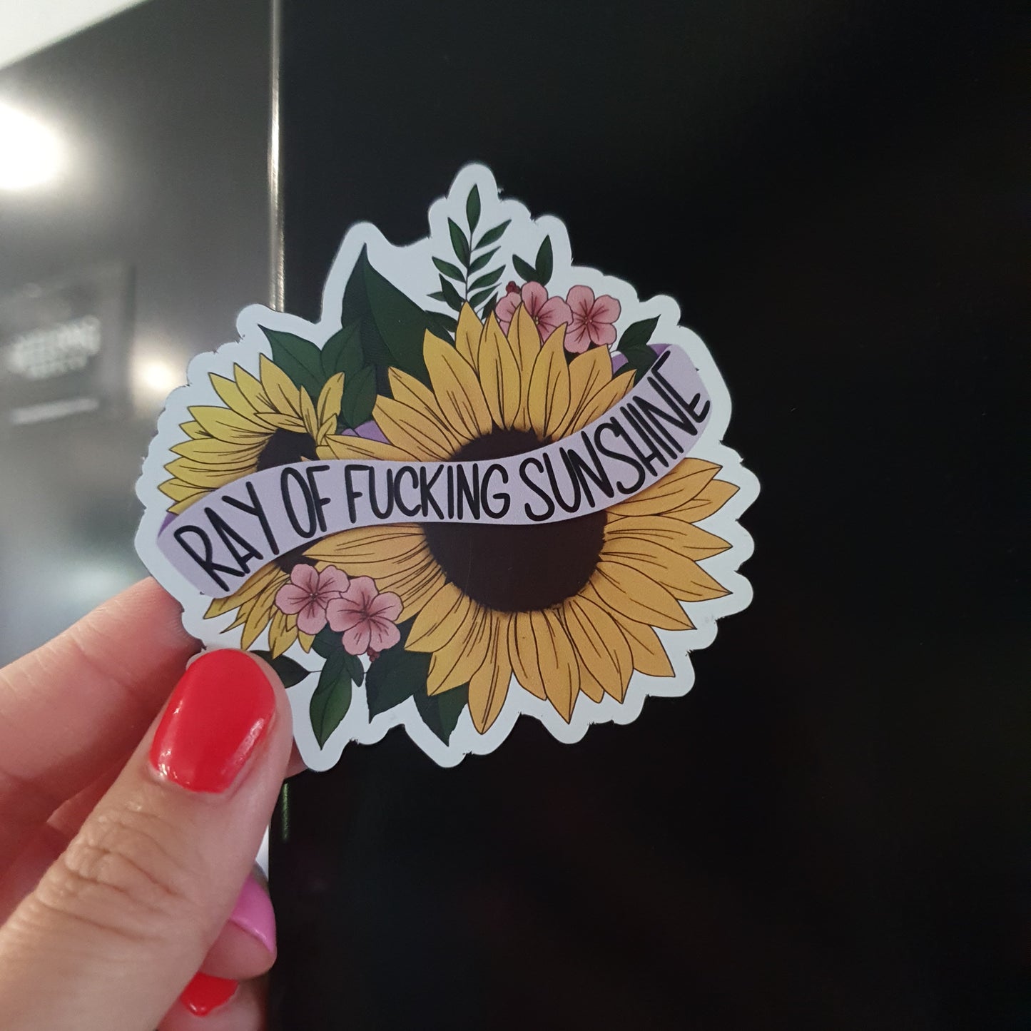 Ray of Fucking Sunshine Magnet