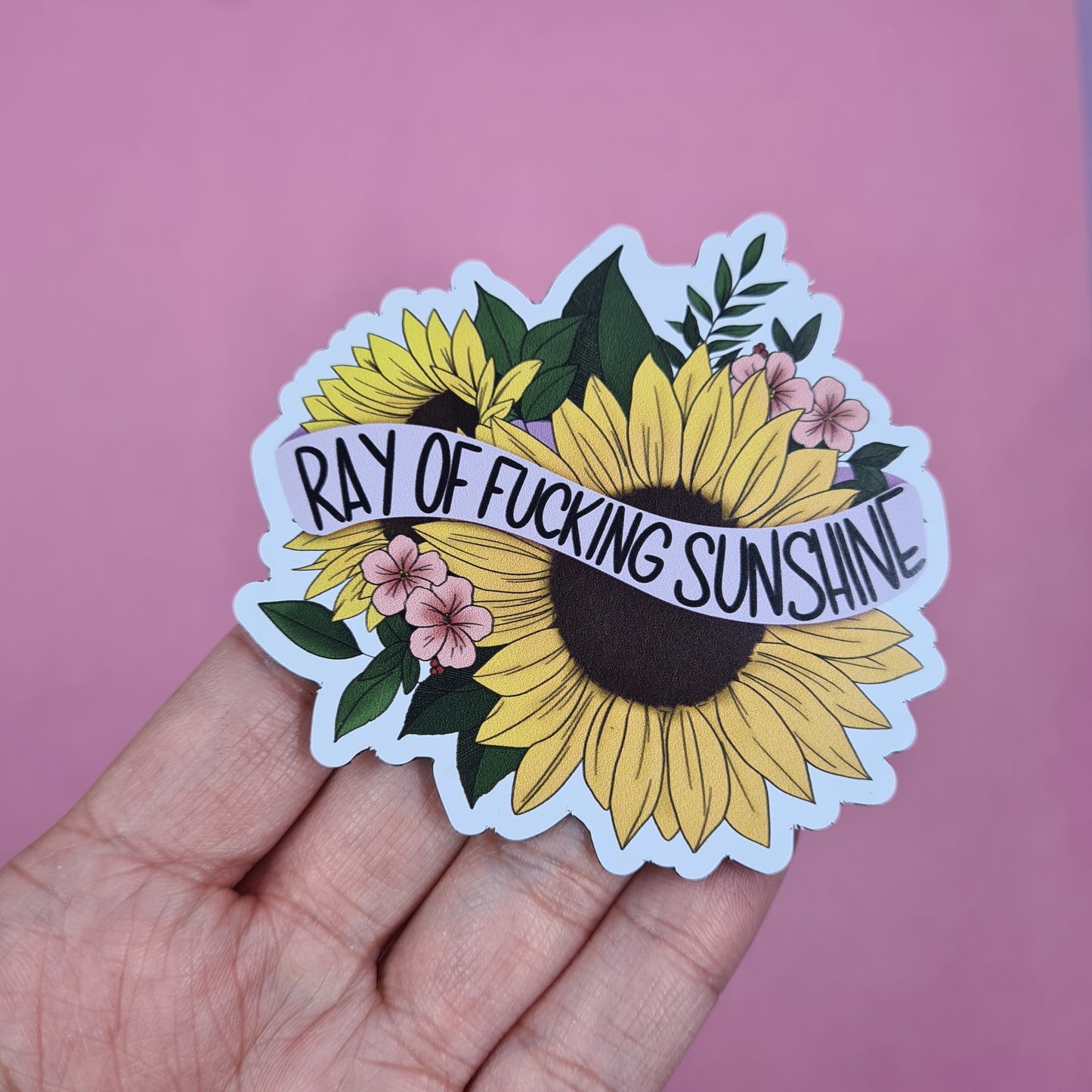 Ray of Fucking Sunshine Magnet