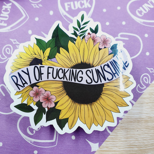 Ray of Fucking Sunshine - Diecut Vinyl Sticker