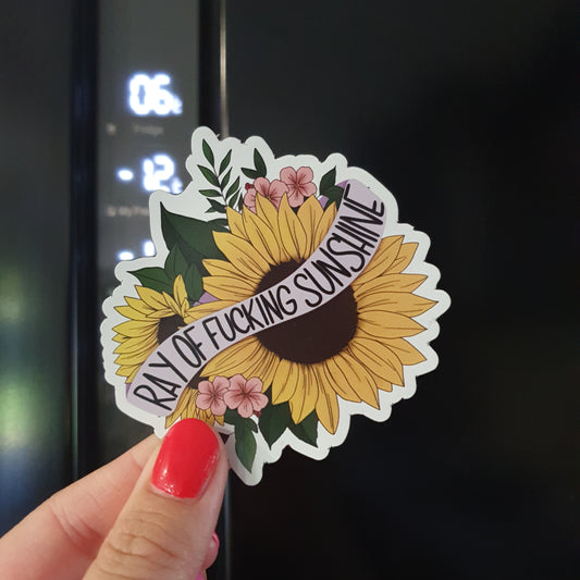 Ray of Fucking Sunshine Magnet